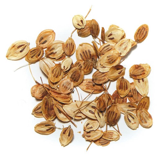  عکس گلپر کوبیده نشده